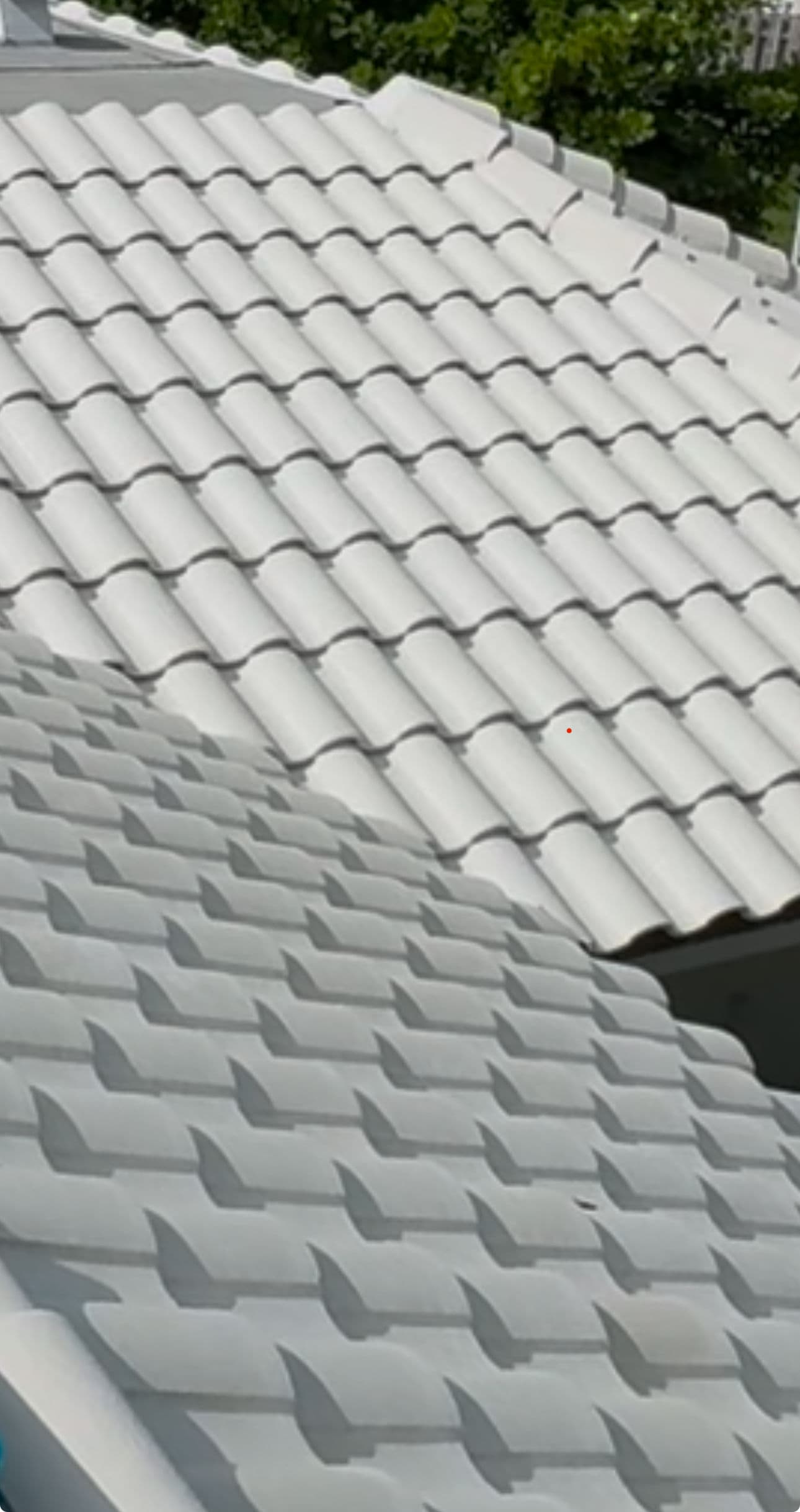 How Mold and Moss Can Destroy Your Tile Roof in South Florida — And How Soft Washing Can Save It image